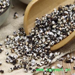 炒王不留行 500g秦岭优质野生王不留行 搭通草 路路通 当归 党参 黄芪煲汤图3