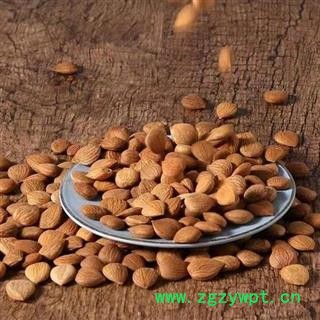 【新货】秦岭天然杏仁干 手工精选日晒无硫500g图3