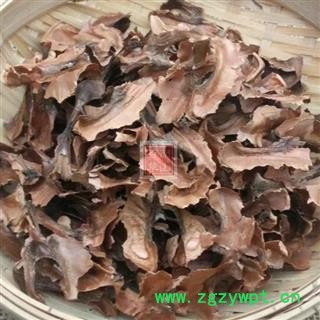 【新货大片】秦岭优质老树山核桃分心木天然日晒无硫泡水500g图2