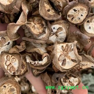 中药材预知子、八月札、八月瓜、八月炸、各种规格尽在中药材批发零售大全图4