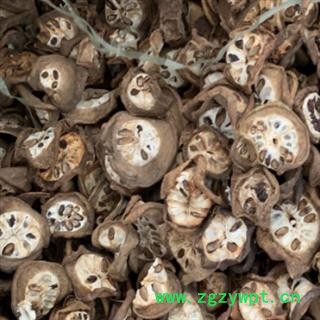 中药材预知子、八月札、八月瓜、八月炸、各种规格尽在中药材批发零售大全图2