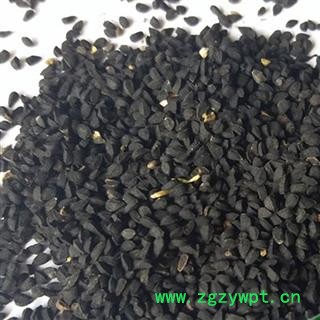 煜庭药业 黑种草子 赛拉纳赫布，色雅担 正品图3