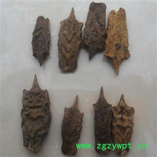 煜庭药业 波棱瓜子图3