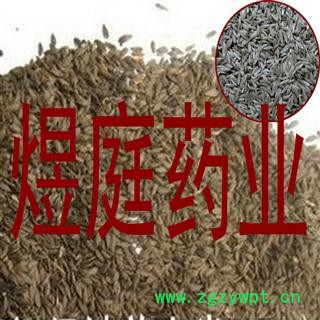 煜庭药业 黑生菜子 生菜籽 莴苣正品图3
