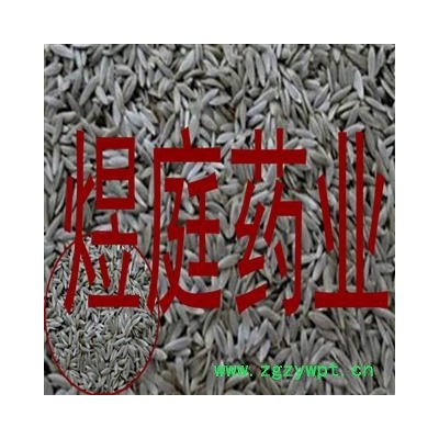 煜庭药业 黑生菜子 生菜籽 莴苣正品