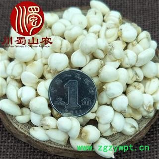 尖贝母选货散装1公斤起批产地直供小平贝母川蜀山农中药材批发图3