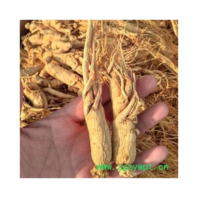 人参个1000克促销批发价山参白参生晒参25支500克 产地 吉林省白山市抚松县 大货批发价