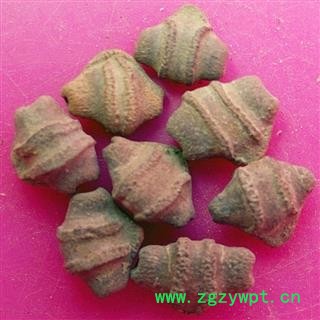 煜庭药业 王瓜子 赤雹子、马雹儿子、土瓜仁、土瓜子图3