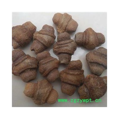 煜庭药业 王瓜子 赤雹子、马雹儿子、土瓜仁、土瓜子