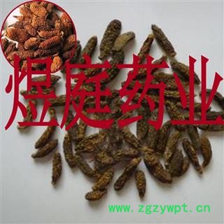 煜庭药业 木天蓼子 木天了 天蓼 藤天蓼 天蓼木 猕猴桃图3