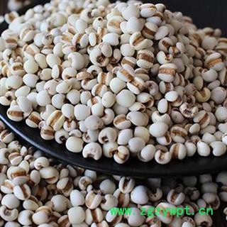 煜庭药业 薏米 大薏米 薏苡仁图2