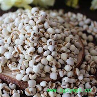 煜庭药业 薏米 大薏米 薏苡仁图3