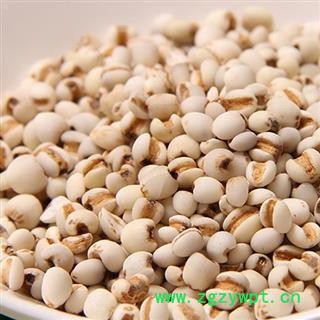 煜庭药业 薏米 大薏米 薏苡仁图4