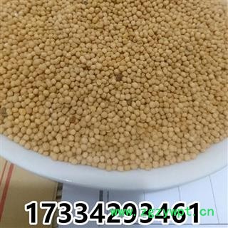 中药材白芥子 白介子 芥菜子辣菜子新货图2
