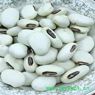 瑞森药材行刀豆 白刀豆 刀豆子 大戈豆 大刀豆 白凤豆 白刀豆 洋刀豆 立刀豆图2