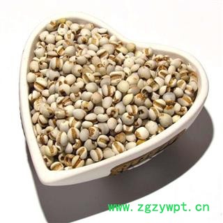 小薏米 小苡米薏苡仁薏米仁薏仁米苡仁图3