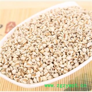 小薏米 小苡米薏苡仁薏米仁薏仁米苡仁图4