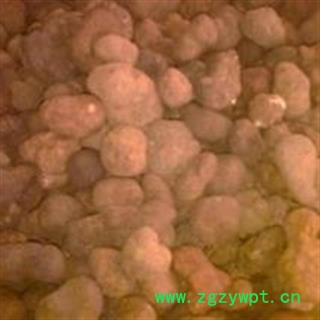 金果榄 金果榄统货 产地 四川省图2