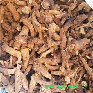 人参山参白参野山参生晒参 生晒参25支 产地 吉林省白山市图2