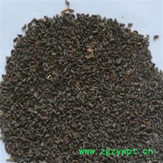 瑞森药材行中药材 骆驼蓬子 骆驼蓬籽 骆驼蓬 骆驼篷子骆驼蒿、臭草图2