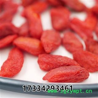 宁夏中宁枸杞子 免洗 头茬枸杞图2