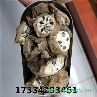 八月札 别称 八月扎 八月爪 预知子 新货图4