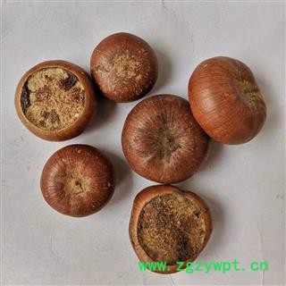 瑞森药材行 风流果 补肾果 产地 广西壮族自治区图3
