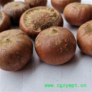 瑞森药材行 风流果 补肾果 产地 广西壮族自治区图2