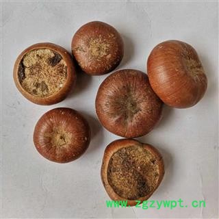 瑞森药材行 风流果 补肾果 产地 广西壮族自治区图4