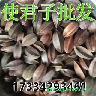 使君子 中药材 使君子仁 留求子图3