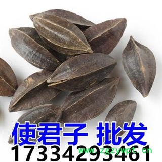 使君子 中药材 使君子仁 留求子图4