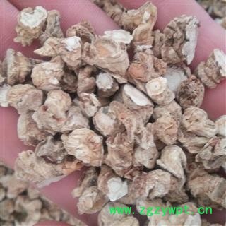 人参生晒参山参野山参 白参头 产地 吉林省图2