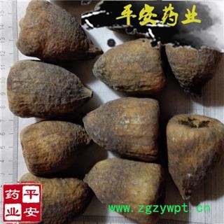 平安药业 木馒头 鬼馒头 木莲 薛荔果 水馒头 蔓头萝 薜荔果 正品 促销图2