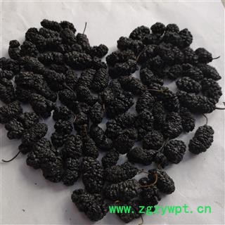 诺源药材行中药材桑椹 黑桑葚  桑葚干 优质选货图2