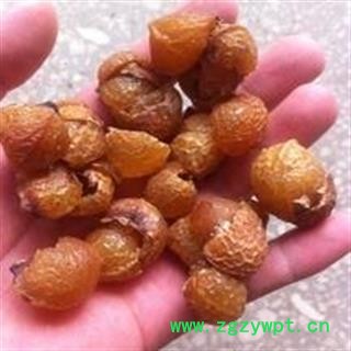 诺源药材行中药材正品无患子 无患子皮图2