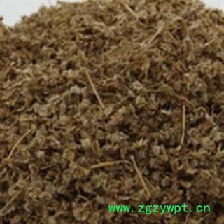 诺源中药材鹤虱  北鹤虱 鬼虱 鹤虱图2