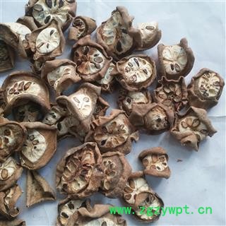 诺源药材行中药材八月札  预知子图2