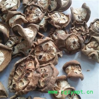 诺源药材行中药材八月札  预知子图3