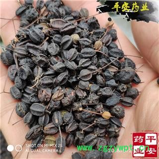 平安药业 刺五加子 黑色 除风 无杂 正品图2