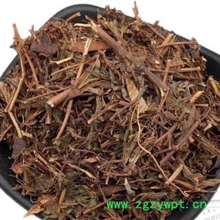 小丽百草行中药材软肝草 铁甲草软甘草益肝草乙肝草肝草图2