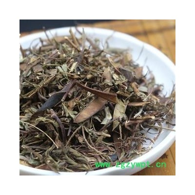 小丽百草行中药材软肝草 铁甲草软甘草益肝草乙肝草肝草