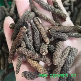 诺源药材行中药材荜拨 荜茇  鼠尾 优质新货图2