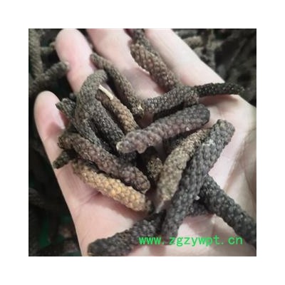 诺源药材行中药材荜拨 荜茇  鼠尾 优质新货