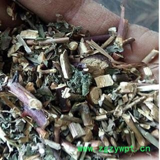安祁名药正品三月泡 茅莓  红梅消 虎波草图2