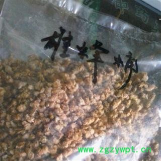 小丽百草行雄蜂蛹 地蜂子 蜂蛹图2