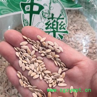 安祁名药正品甜瓜子  优质新货图2