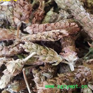 安祁名药中药材夏枯球 另有夏枯草图2