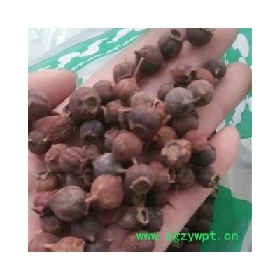 安祁名药正品野生南山楂山里红小山楂豆