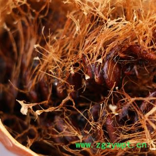 安祁名药道地直销瓜蒌 全瓜蒌 瓜蒌皮 瓜蒌丝图2