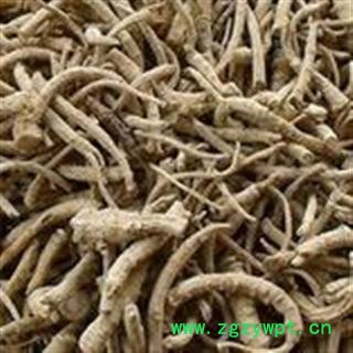 小丽百草行文山三七 大根条 根条图2